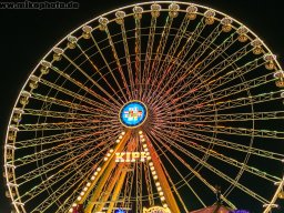 Städte &raquo; Stuttgart &raquo; Wasen
